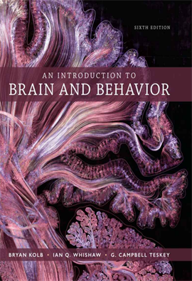 An Introduction to Brain and Behavior 6ed